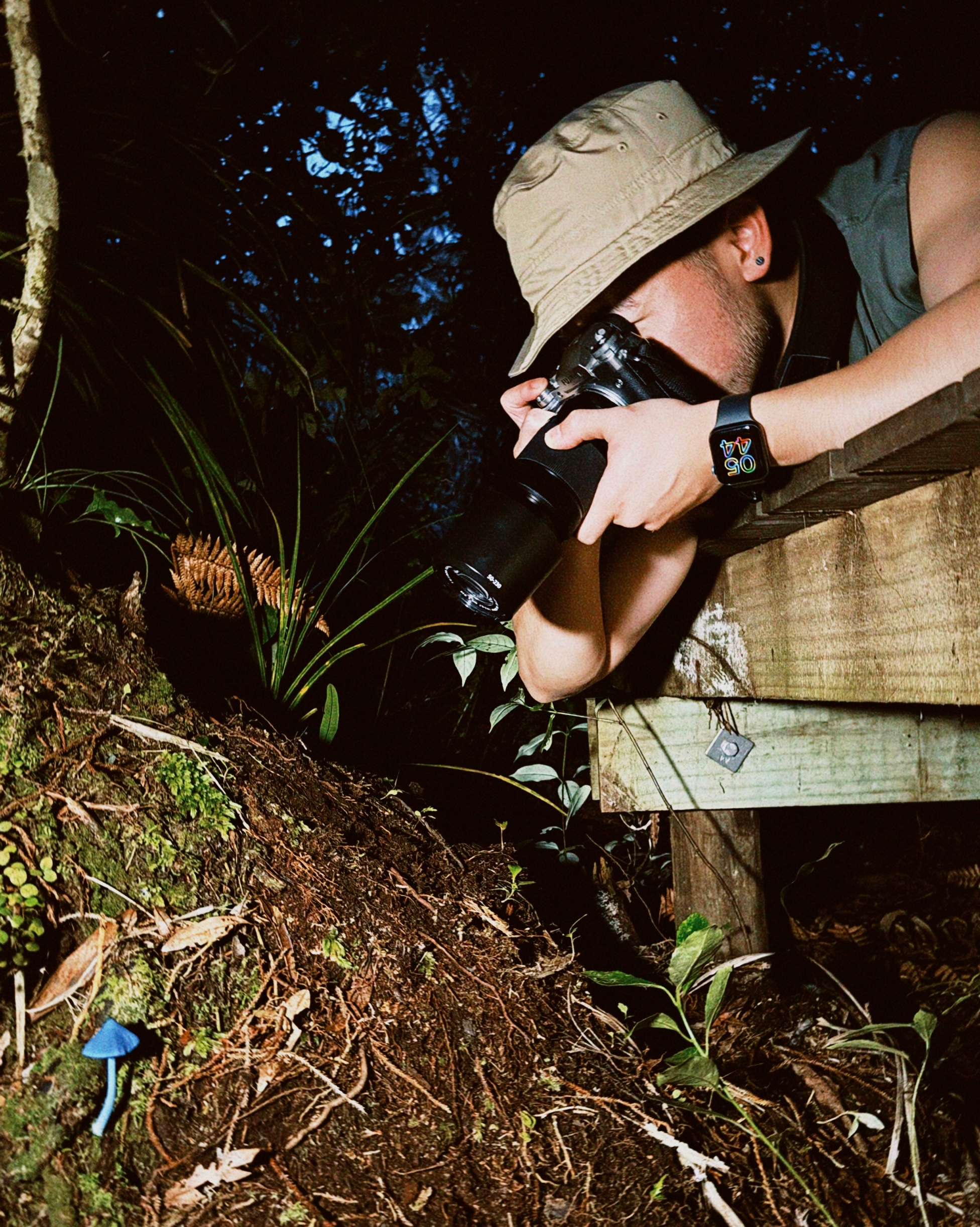 Cullen photographing a blue mushroom beside a forest boardwalk