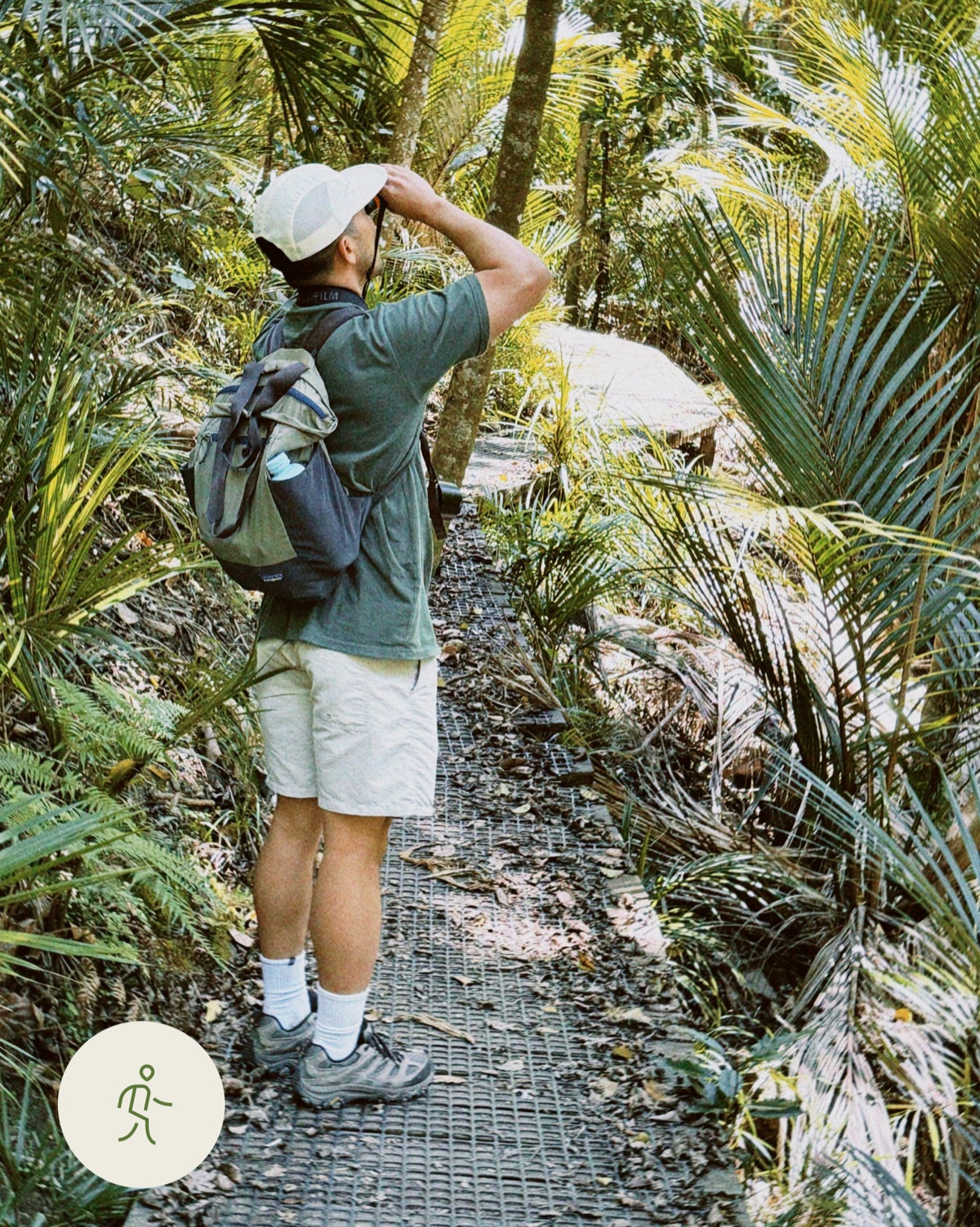 Birdwatcher using binoculars on a forest track